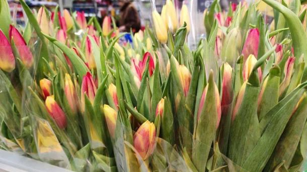 В Новосибирске произошёл бум продаж винтажных подарков на 8 Марта