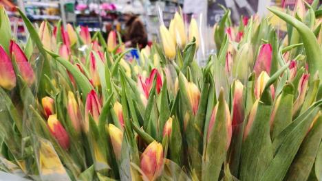 «Вы намного сильнее»: Андрей Травников поздравил жительниц Новосибирской области с 8 Марта