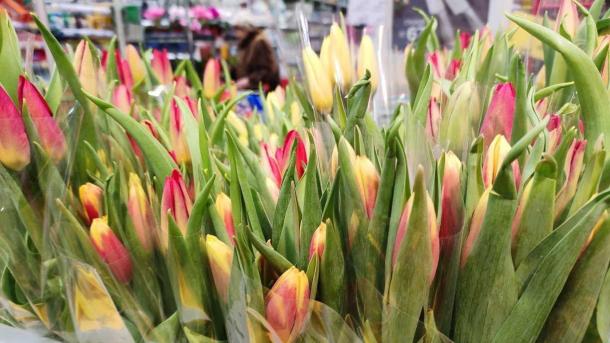 «Вы намного сильнее»: Андрей Травников поздравил жительниц Новосибирской области с 8 Марта