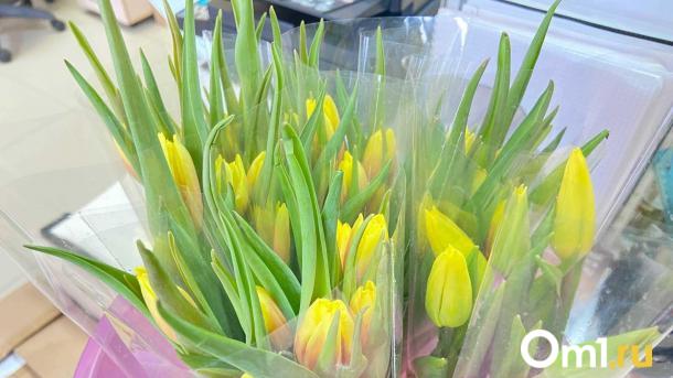 В Омской области задержали 800 тюльпанов без фитосертификата