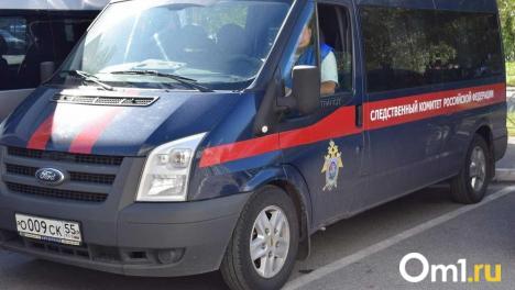 Омских полицейских обвинили в нападении на семью, в дело вмешался Бастрыкин