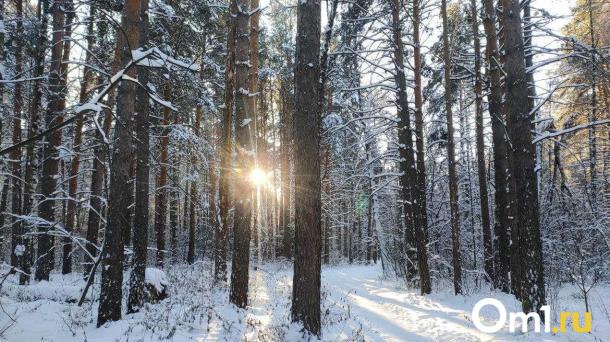 Погодные качели: морозы сменятся дождём со снегом в Новосибирске