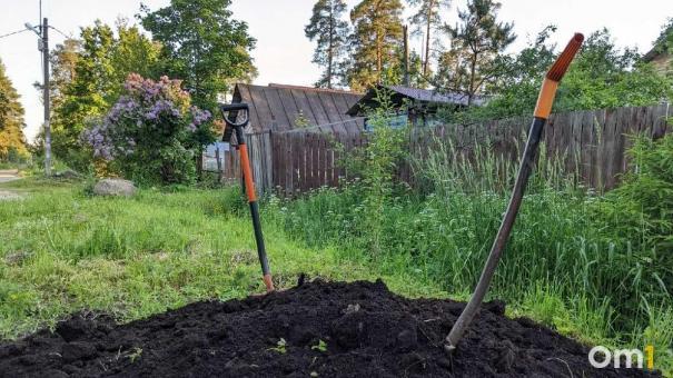 Омскую дачницу заставили заплатить за нападение на соседку с лопатой