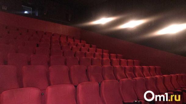 У новосибирского драматурга Ольги Степновой продолжают воровать театральные пираты