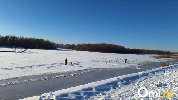 Омичам напомнили, как спасать детей из полыньи