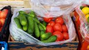 В Новосибирске цены на огурцы рухнули почти на 80 %: килограмм в крупных сетях подешевел с 725 рублей