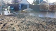 Восемь садовых обществ Новосибирска попали в зону риска весеннего подтопления