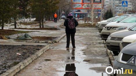 Синоптики назвали дату окончательного прихода весны в Омск