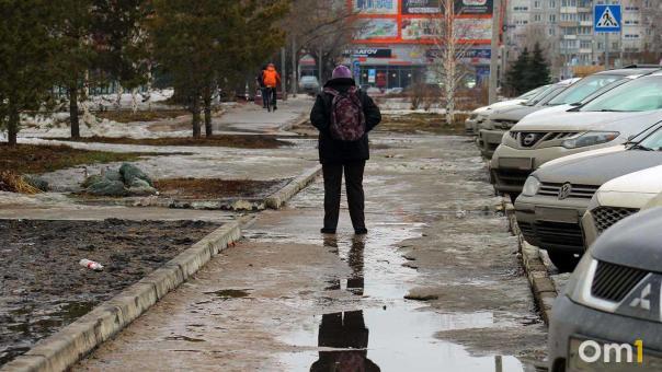 Синоптики назвали дату окончательного прихода весны в Омск