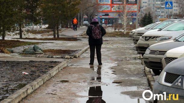 Синоптики назвали дату окончательного прихода весны в Омск