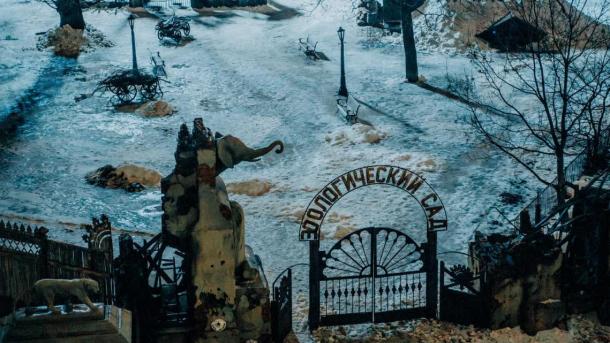 Спасение Красавицы: омичам показали трогательную киноленту о животных в блокадном Ленинграде