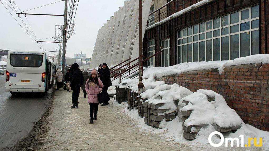 Водитель автобуса из Омска заплатит 1500 рублей за то, что едва не сбил бабушку на Нефтезаводской