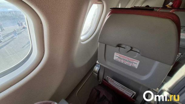 Метель в Омске задержала вечерний рейс в Новосибирск на несколько часов