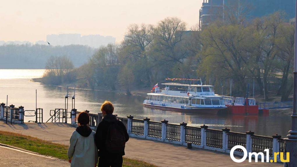 В Омске планируют строительство пешеходного моста через Омь
