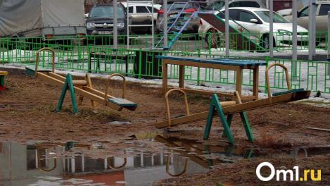 Снег с дождём обрушатся на Омскую область в ближайшие выходные