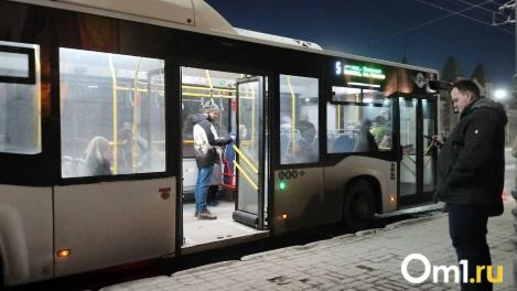 В Новосибирске разъяснили правила проезда детей в общественном транспорте без билета