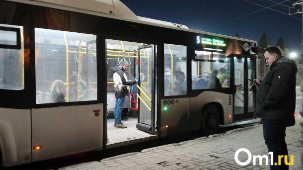 В Новосибирске разъяснили правила проезда детей в общественном транспорте без билета