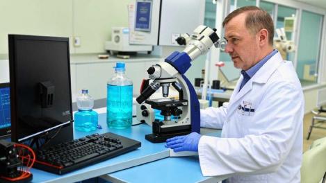 Новосибирские учёные создали макет детской площадки без разделения на зоны