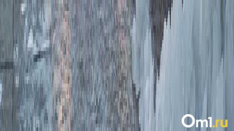 В Новосибирске за сутки вывезли более 22 тысяч кубометров снега