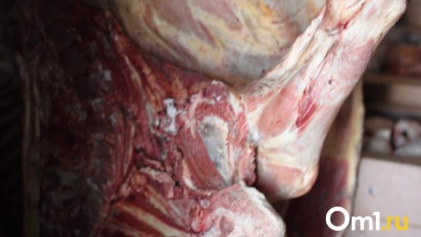 В Омской области утилизировали 720 кг небезопасной говядины и конины