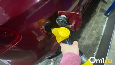 В Омске за неделю выросли цены на бензин, дизель и газ на крупных АЗС