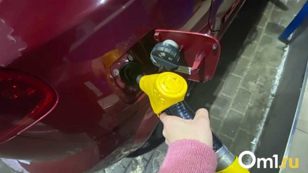 В Омске за неделю выросли цены на бензин, дизель и газ на крупных АЗС
