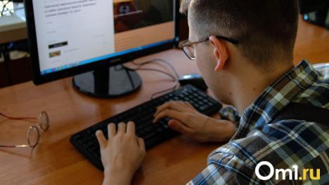 Притворялся девушкой: жителя Омской области оштрафовали на 40 тысяч