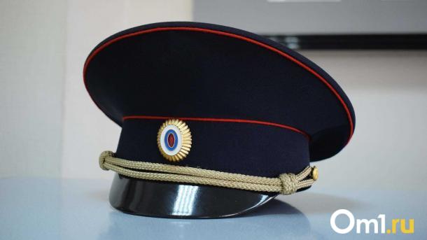 В Омской области полиция выявила 233 нарушения миграционного законодательства