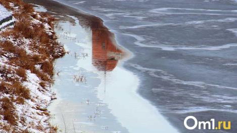 В омских водоёмах нашли превышения норм по ртути и марганцу