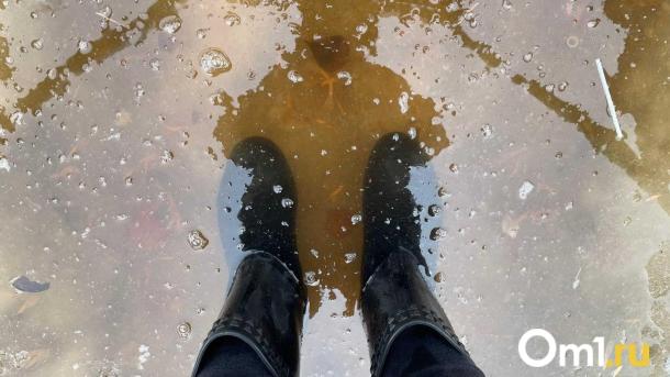 В Новосибирске начали открывать ливневые дождеприёмники