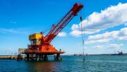 Нефтяные качели не доходят до колонки: эксперт объяснил, почему бензин в России не зависит от мировых цен
