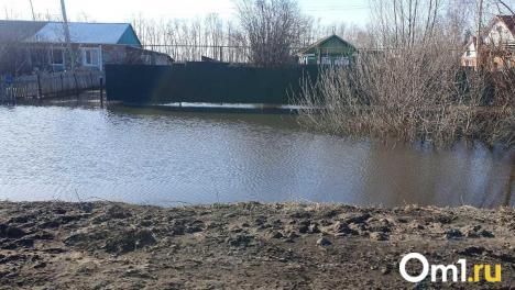 В Омской области ввели режим повышенной готовности из-за паводка и пожаров