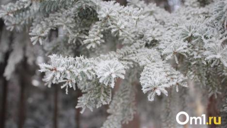 Синоптики прогнозируют потепление и снег 19 марта в Новосибирской области
