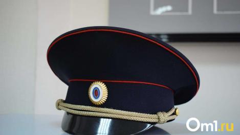 В Новосибирском районе возбуждено уголовное дело после падения пятилетней девочки в открытый люк