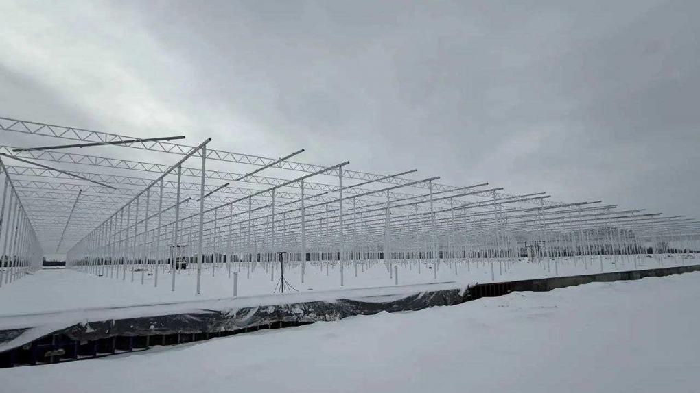 В селе под Омском строят тепличный комплекс за 10 млрд рублей