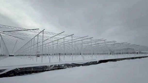 В селе под Омском строят тепличный комплекс за 10 млрд рублей