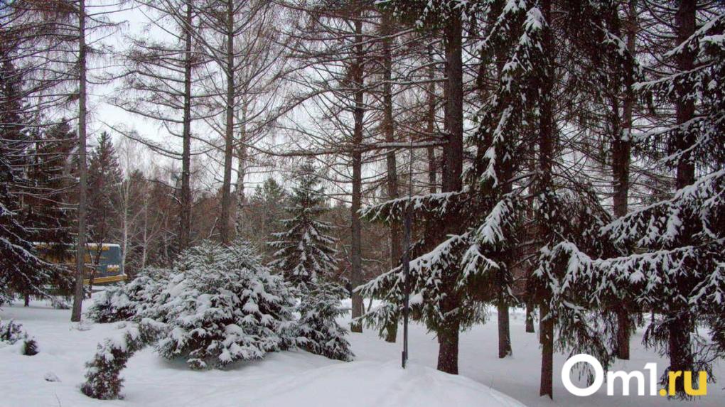 В Омске закрылись сноупарки