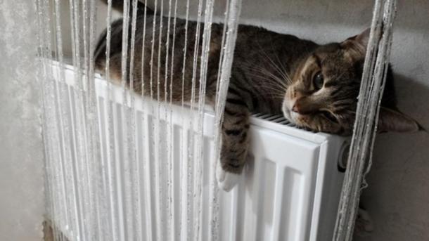 Специалисты восстановили теплоснабжение 58 домов в Новосибирске