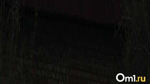 Тепло, но снежно: апрель в Новосибирске удивит горожан погодным парадоксом