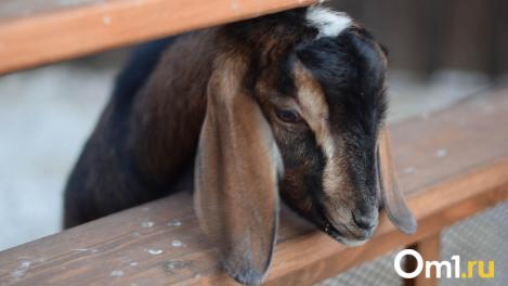 «На чужой беде откровенно заработать»: Травников предупредил жителей сёл о мошенниках, наживающихся на карантине
