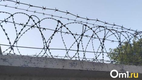 Директора новосибирского филиала НИИ рыбного хозяйства обвиняют в превышении полномочий и получении взятки