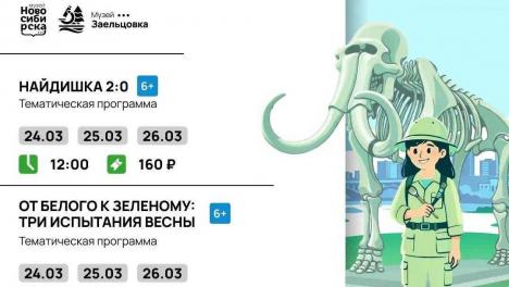 Школьников Новосибирска приглашают на каникулы в музеи: квесты, игротеки и интерактивы в рамках акции «Играем в музее»
