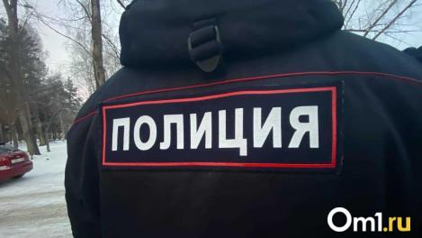 В районы Омской области съедутся правоохранители и спасатели: жителей призывают сохранять спокойствие