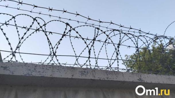 Суд вынес приговор жителю Новосибирской области за садистскую расправу над собакой