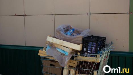 В Омске на вывозе мусора могли украсть 157 миллионов рублей