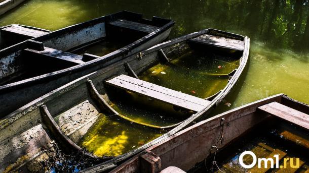 Весенняя охота в Новосибирской области: лодки под запретом