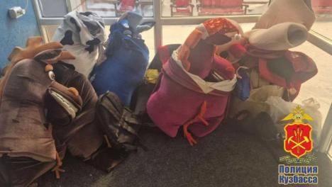 Мигрант под видом лошади обманывал туристов в Шерегеше