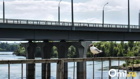 В Новосибирске строят новый мост на улице Петухова: сооружение 1962 года заменят на современную переправу