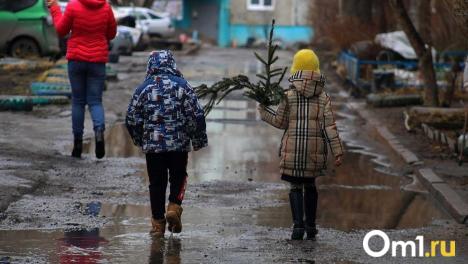 Вслед за аномальным потеплением в Омск придут холода