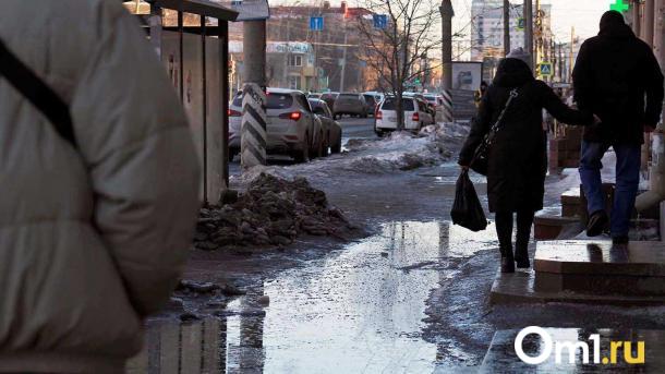 Синоптики рассказали о погоде в Новосибирске на выходные